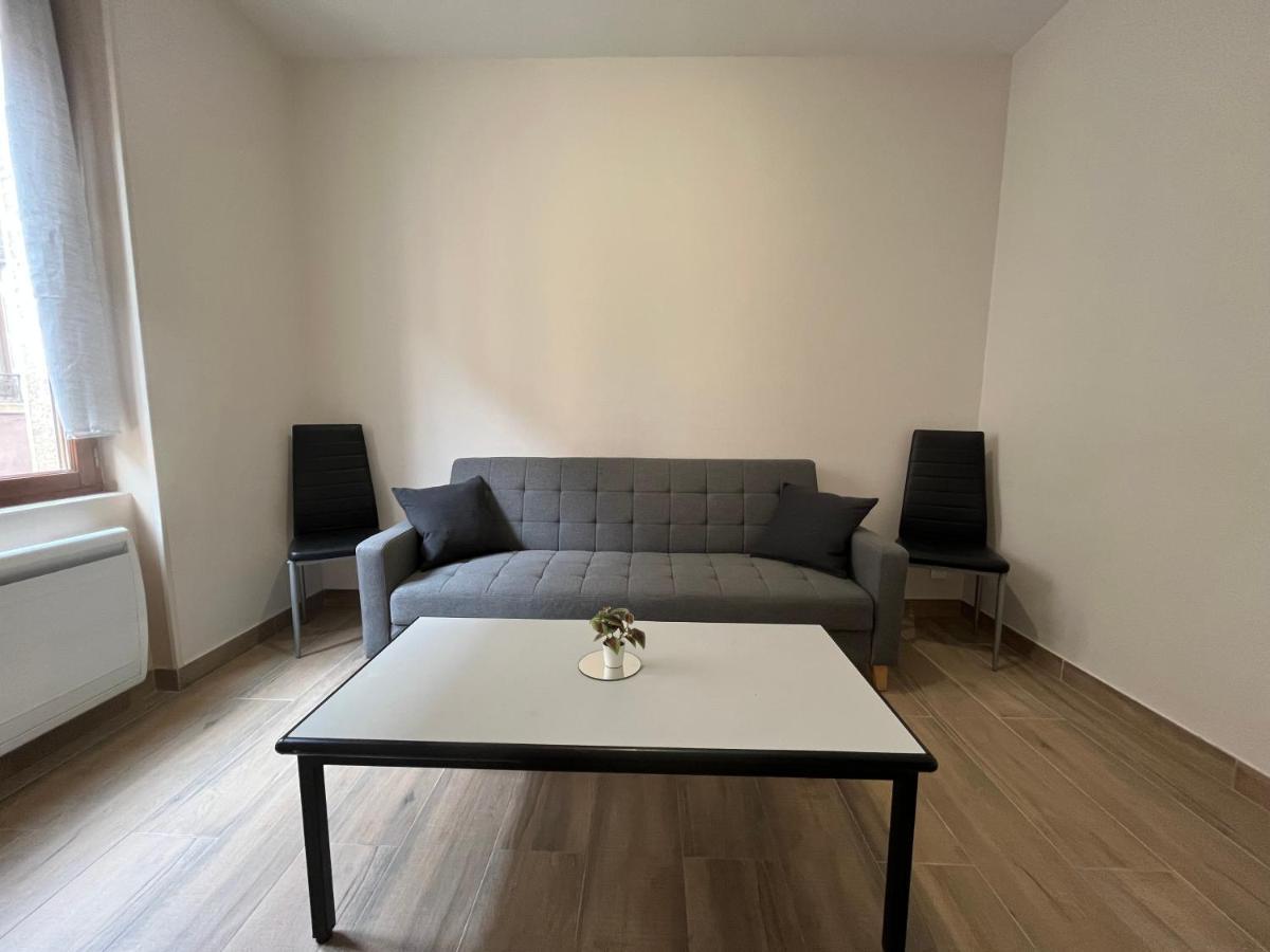 Appartement Renove A 15 Min De Lyon Saint-Fons Exterior foto