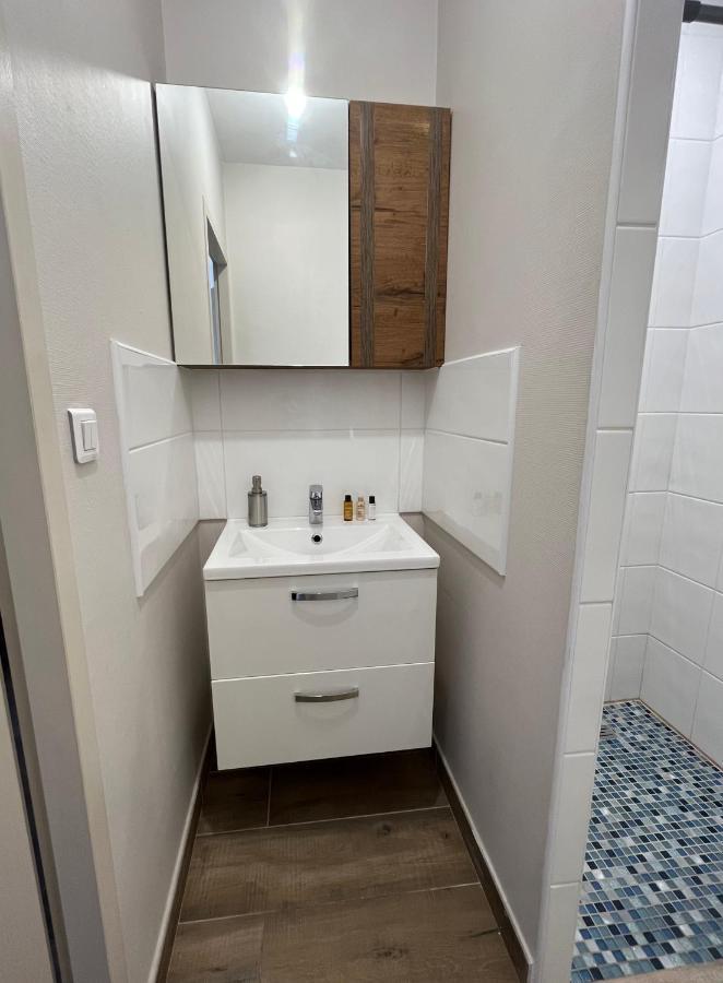 Appartement Renove A 15 Min De Lyon Saint-Fons Exterior foto